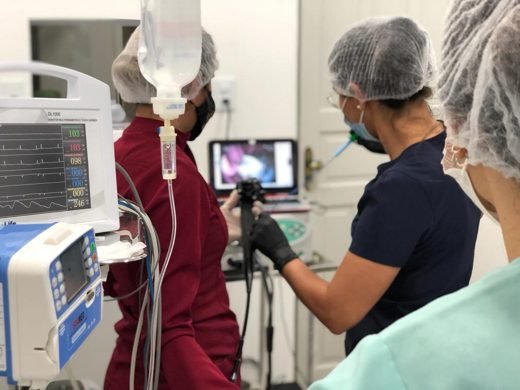 Equipe da iDvet realizando um procedimento de endoscopia guiada, acompanhando a imagem no monitor
